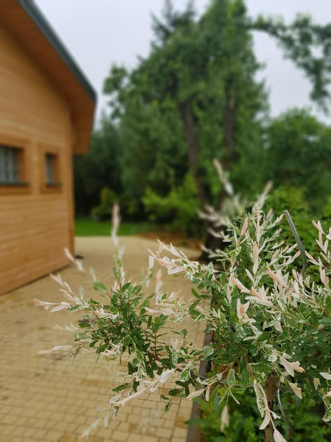 Kraśnik Kosiedlisko 빌라 외부 사진