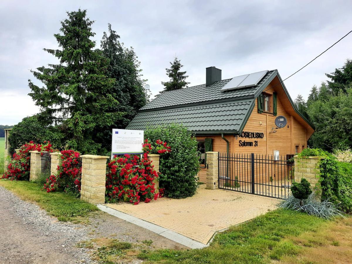 Kraśnik Kosiedlisko 빌라 외부 사진